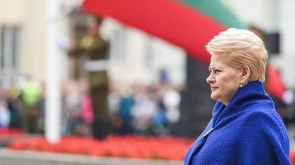 Атакуют Грибаускайте конкуренты, но её не поддерживает население Атакуют Грибаускайте конкуренты, но её не поддерживает население