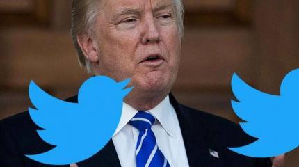 Один день из жизни президента Трампа Один день из жизни президента Трампа