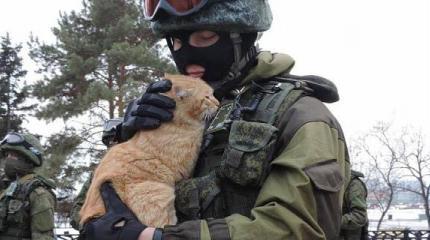 Польша стремится признать РФ «террористическим» государством Польша стремится признать РФ «террористическим» государством