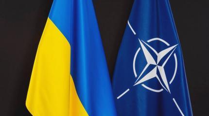 Американский эксперт предостерег Украину от вступления в НАТО и ЕС Американский эксперт предостерег Украину от вступления в НАТО и ЕС