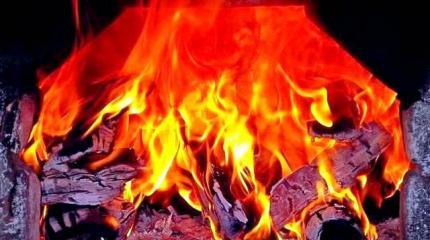 В Эстонии решили заменить газ дровами