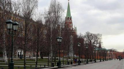 Коронавирус и обвал цен на нефть указали на преемника Путина Коронавирус и обвал цен на нефть указали на преемника Путина