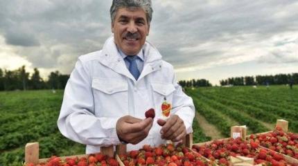 Грудинин. Разложим пациента с точки зрения марксизма-ленинизма Грудинин. Разложим пациента с точки зрения марксизма-ленинизма