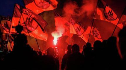 Радикалы прошли в Раду через чёрный ход Радикалы прошли в Раду через чёрный ход