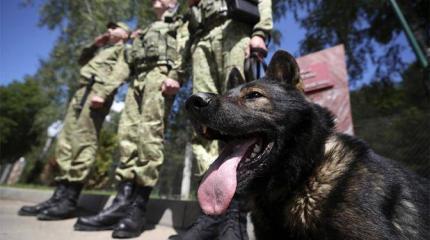 Союзное государство Москва переехала российским бульдозером Союзное государство Москва переехала российским бульдозером