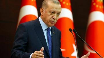 Эрдоган хитрит: Украине – «Байрактары», русским – помидоры и путёвки