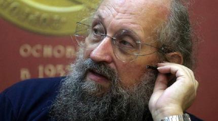 Вассерман объяснил, как можно доказать вину голландцев в деле крушения MH17 Вассерман объяснил, как можно доказать вину голландцев в деле крушения MH17