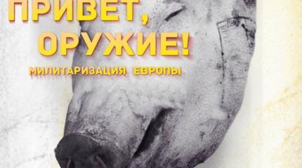 Арабские псы лезут во все щели. Европа вооружается Арабские псы лезут во все щели. Европа вооружается