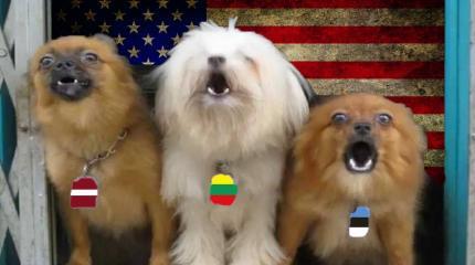 Реакция Прибалтики на призыв к диалогу с РФ вновь подтвердила ее связь США Реакция Прибалтики на призыв к диалогу с РФ вновь подтвердила ее связь США