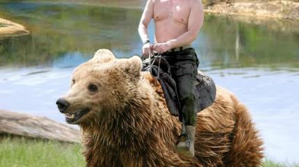 Американец рассказал о русских: «Они как Путин, четко скачут на медведях»
