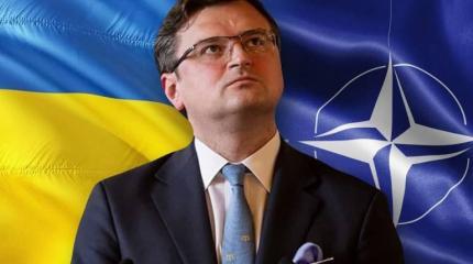 Украина от просьб перешла к обвинениям НАТО «в бездействии» Украина от просьб перешла к обвинениям НАТО «в бездействии»
