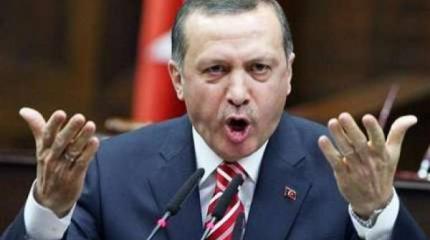 Визит Эрдогана в Грецию ознаменовался скандалом