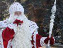 Новогоднее самарское