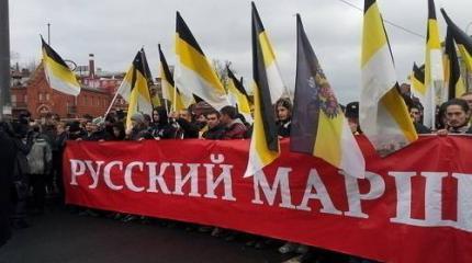 О политической идее русских националистов – в чем она?