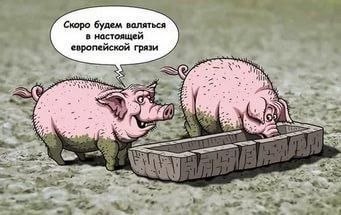 В рядах «свидомых патриотов» начались горькие разочарования В рядах «свидомых патриотов» начались горькие разочарования