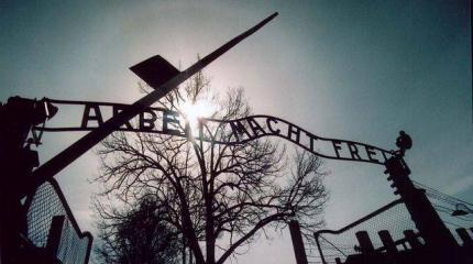 Польше срочно понадобился музей «Полокоста» Польше срочно понадобился музей «Полокоста»