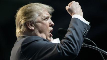 Попытка срыва инаугурации Трампа или заявка на импичмент?