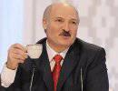 Лукашенко: я даже не напрягаюсь о выборах Лукашенко: я даже не напрягаюсь о выборах