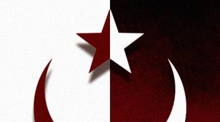 Собачий союз: Турция и Польша против России Собачий союз: Турция и Польша против России