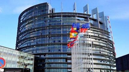 Европарламент стал напоминать сумасшедший дом Европарламент стал напоминать сумасшедший дом