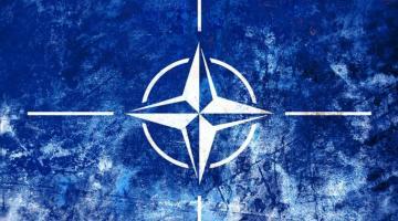 Финляндия и Швеция стали ещё на шаг ближе к НАТО