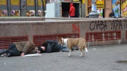 Допилив страну, шумеры обречены вернуться в Россию Допилив страну, шумеры обречены вернуться в Россию