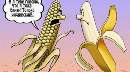 Крах украинства