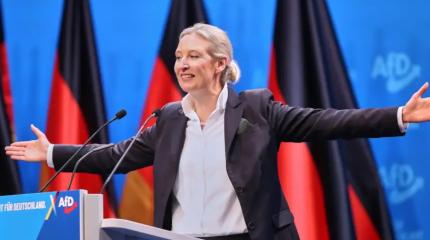 Назло недоброжелателям рейтинги АдГ бьют рекорды Назло недоброжелателям рейтинги АдГ бьют рекорды