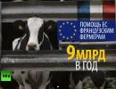 Финансовый кризис толкает французских фермеров на крайние меры Финансовый кризис толкает французских фермеров на крайние меры