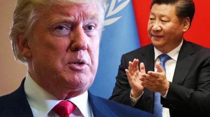Китай не против драки с Дональдом Трампом Китай не против драки с Дональдом Трампом