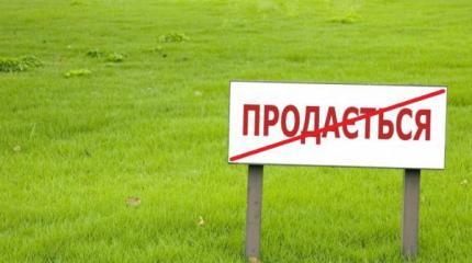 Хоть что-то на Украине сделали правильно – продлили мораторий на продажу земли до 17 года