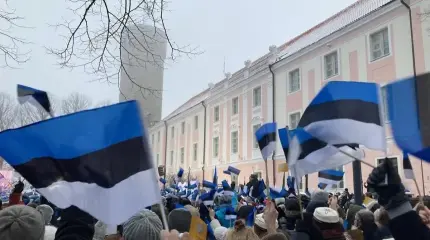Жители Эстонии тихо замерзают в собственных домах и жгут сырые дрова