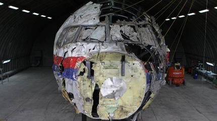 Нидерланды впредь не смогут использовать «уязвимости» против РФ в деле MH17 Нидерланды впредь не смогут использовать «уязвимости» против РФ в деле MH17