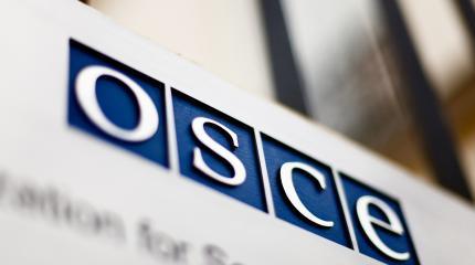 ЛНР ждет от ОБСЕ новые предложения ЛНР ждет от ОБСЕ новые предложения