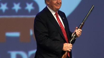Американский трамплин или Маленькая ноябрьская революция Американский трамплин или Маленькая ноябрьская революция