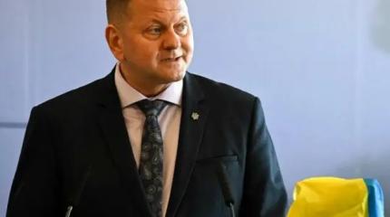 «Мясник и не очень умный парень»: в США окатили Залужного шквалом критики