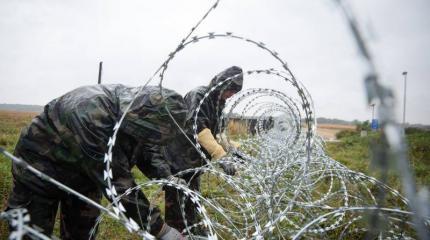 Словения поставит забор на границе с Хорватией Словения поставит забор на границе с Хорватией