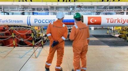 Американская Баба-Яга против Американская Баба-Яга против