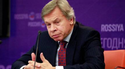 Пушков предсказал судьбу Марии Гайдар "после Саакашвили"