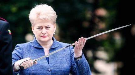 Призыв Грибаускайте дружить с Россией: в Европе наметился сдвиг Призыв Грибаускайте дружить с Россией: в Европе наметился сдвиг