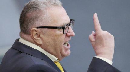 Жириновский: референдум в Голландии — оплеуха Украине Жириновский: референдум в Голландии — оплеуха Украине