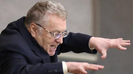 За что Жириновский ополчился на Лазарева и причем тут политика