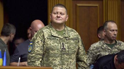 Залужный или Янукович. Третьего не дано Залужный или Янукович. Третьего не дано