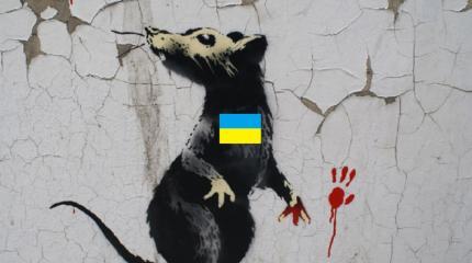 Украинские крысы загнаны в угол и могут напасть на Донбасс