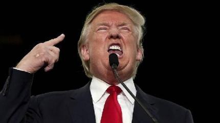 Полюбить Трампа