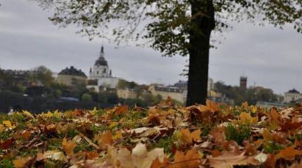 Все куда-то уезжали. Попытка эмигрировать в Швецию Все куда-то уезжали. Попытка эмигрировать в Швецию