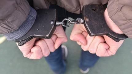 «Борца с Россией», уличили в Латвии в обороте детского порно