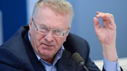 Жириновский: России надо искать друзей на Юге, а не на Западе Жириновский: России надо искать друзей на Юге, а не на Западе