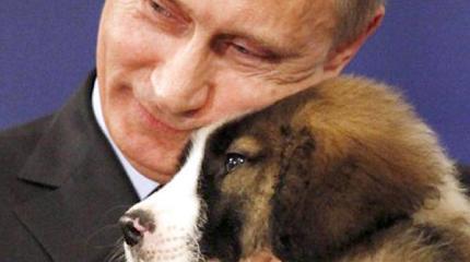 Сеанс разоблачения агентов Путина Сеанс разоблачения агентов Путина