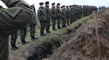 Украина проводила ёлку в последний путь — на могильные кресты Украина проводила ёлку в последний путь — на могильные кресты